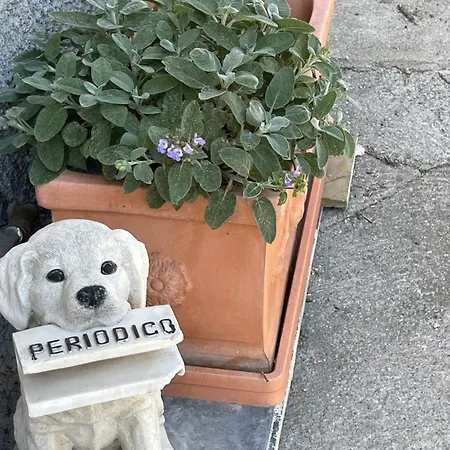 Apartamento Ilbaciodelsole