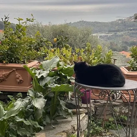Apartamento Ilbaciodelsole *